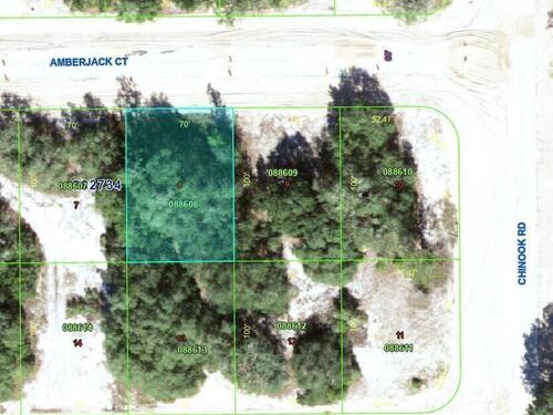 377 Amberjack Court