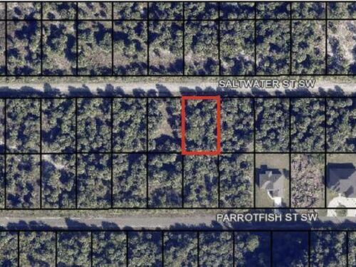 842 Saltwater Street