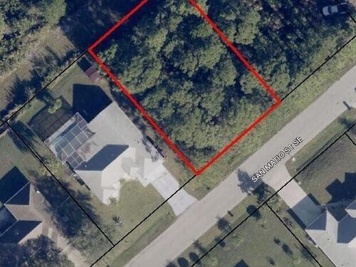 1133 San Matio Street